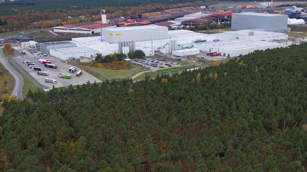 Die Getränkehersteller Red Bull und Rauch wollen im brandenburgischen Baruth/Mark die Produktion ausweiten. Für ein neues Dosen-Werk für Red Bull-Getränke sollen 17 Hektar Wald gerodet werden.