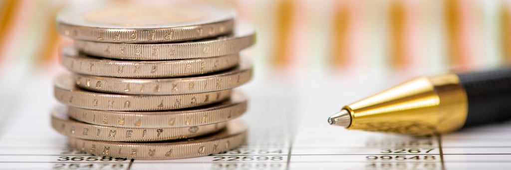 Wo soll Dessau-Roßlau sparen?