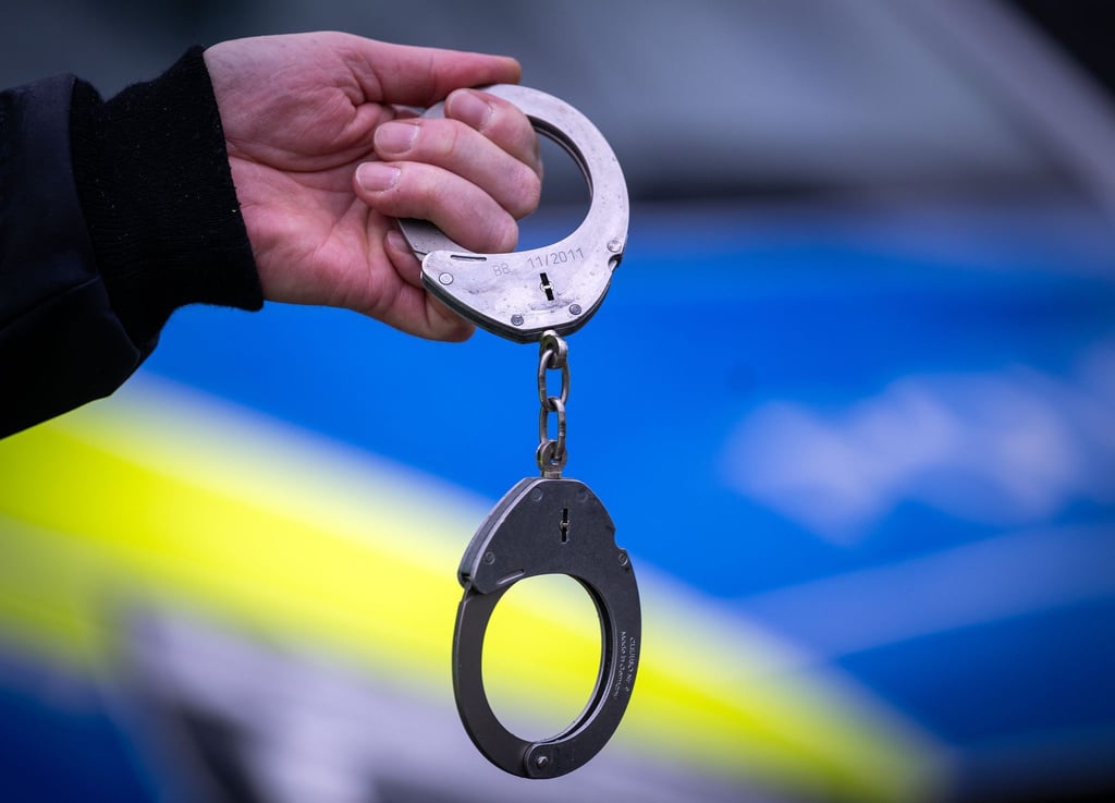 Dank couragierter Magdeburger konnte die Polizei einen brutalen Schläger, Diebe und einen Einbrecher festnehmen.