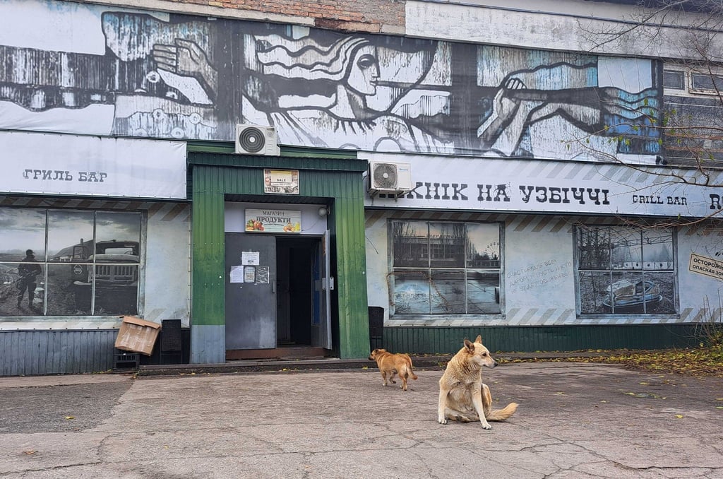 Tagelang berichteten internationale Medien über „blaue Hunde“ in Tschernobyl. Im radioaktiv belasteten Sperrgebiet bezeichnet man die Berichte als Unsinn.