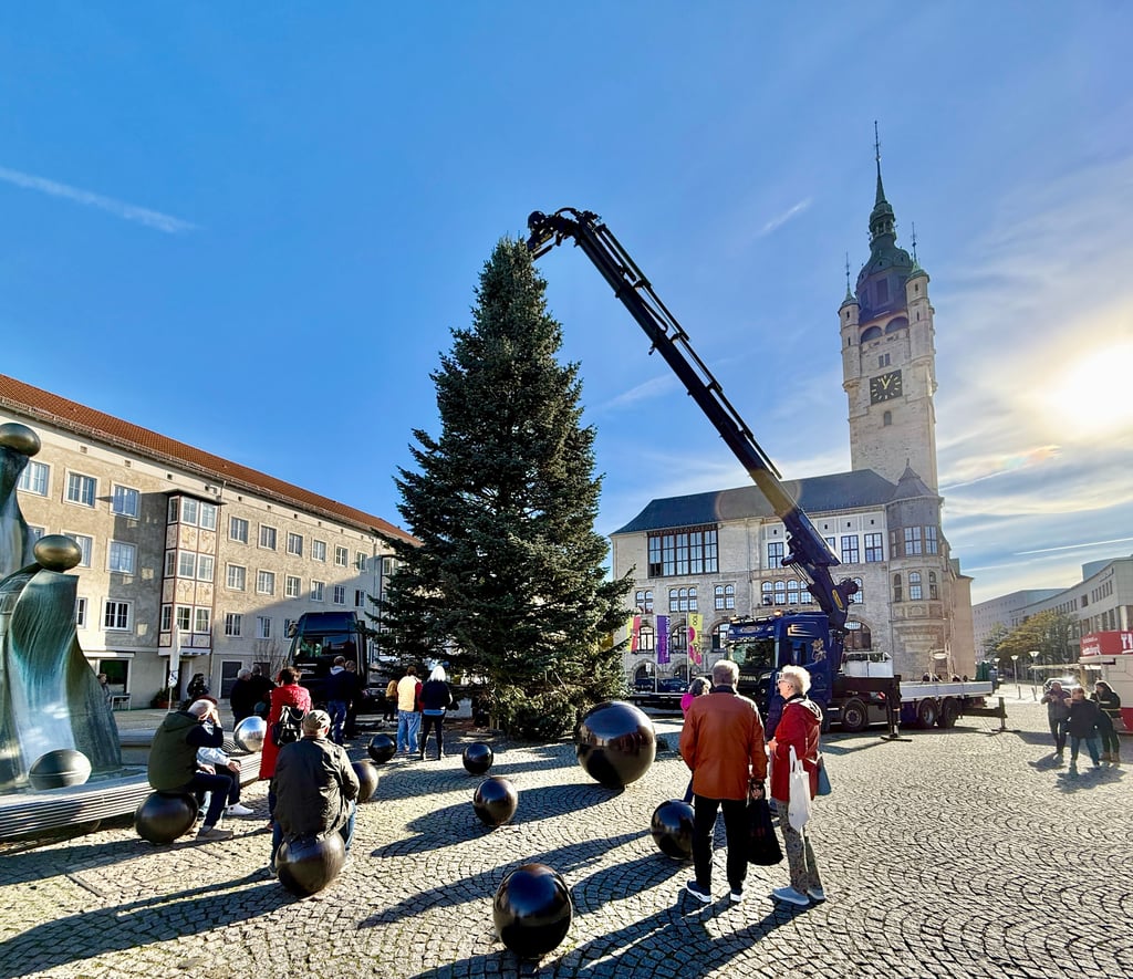 Der Weihnachtsbaum für den Dessauer Adventsmarkt steht seit Mittwoch auf dem Dessauer Marktplatz. Familie Noth aus Mildensee hatte die Blaufichte gespendet. Ein 60-Tonnen-Kran war notwendig, den Baum über das Haus zu heben.