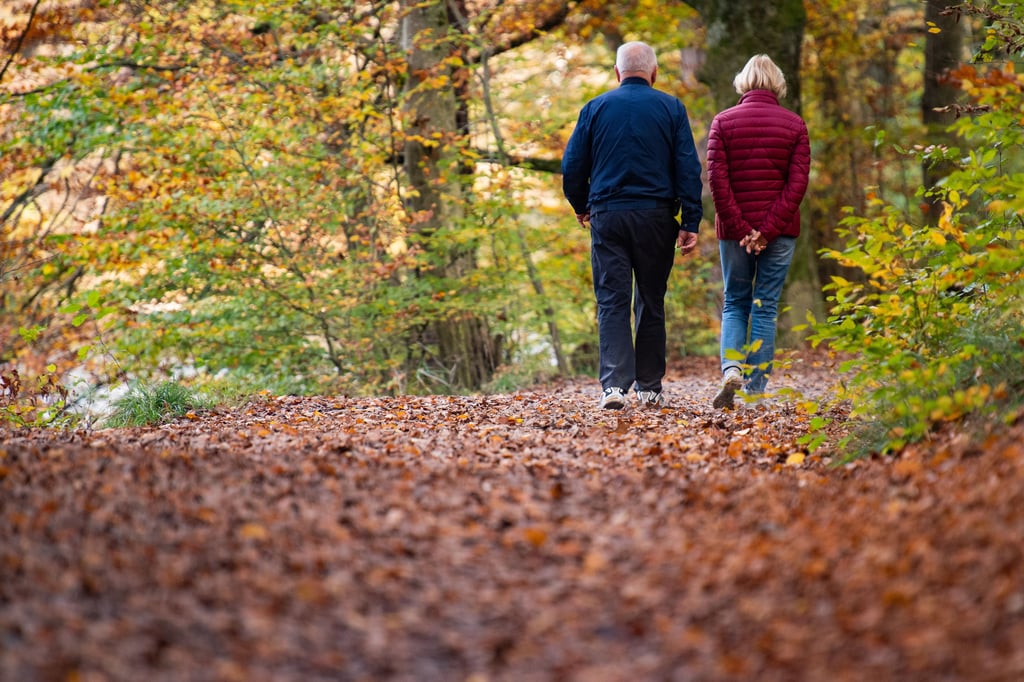 Gemeinsam unterwegs: Die Trauerwanderung bietet Raum für stille Gespräche und neue Schritte im Umgang mit Verlust.