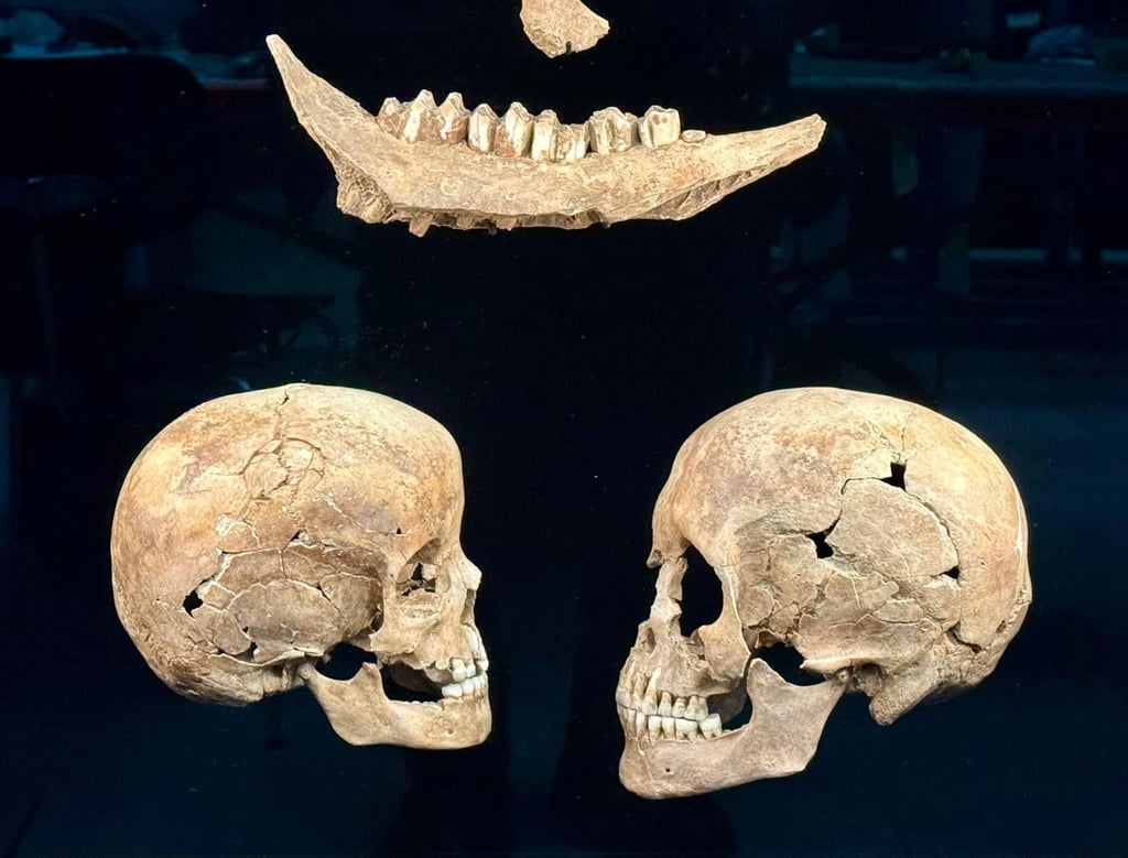 Tierknochen sowie Schädel eines Kindes mit einem Lochbruch durch stumpfe Gewalt und einer Frau zwischen 30 und 40 Jahren mit Trümmerfrakturen und Bissspuren eines Raubtieres wurden  bei Grabungen aus einem der Opferschächte bei Pömmelte geborgen. Die Funde stammen aus der Zeit um 2350 bis 2050 v. Chr. und gehören zur neuen Dauerausstellung „Bronzerausch“. 