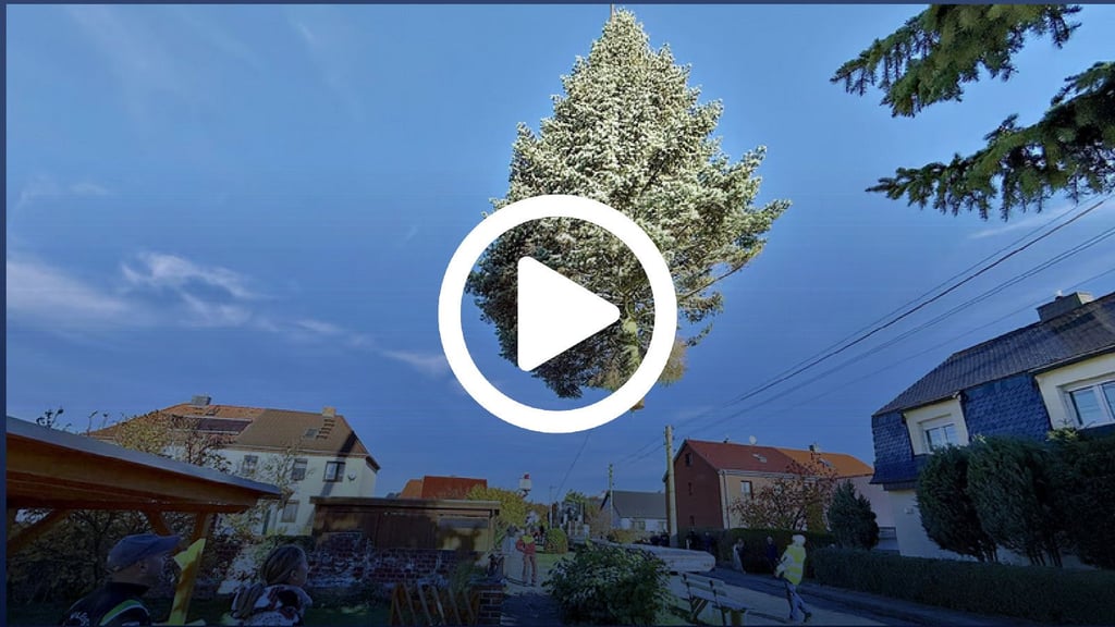 Der Baum musste aus dem Garten über die Häuser auf einen Laster gehoben werden. 16 Meter hoch ist die Blaufichte.