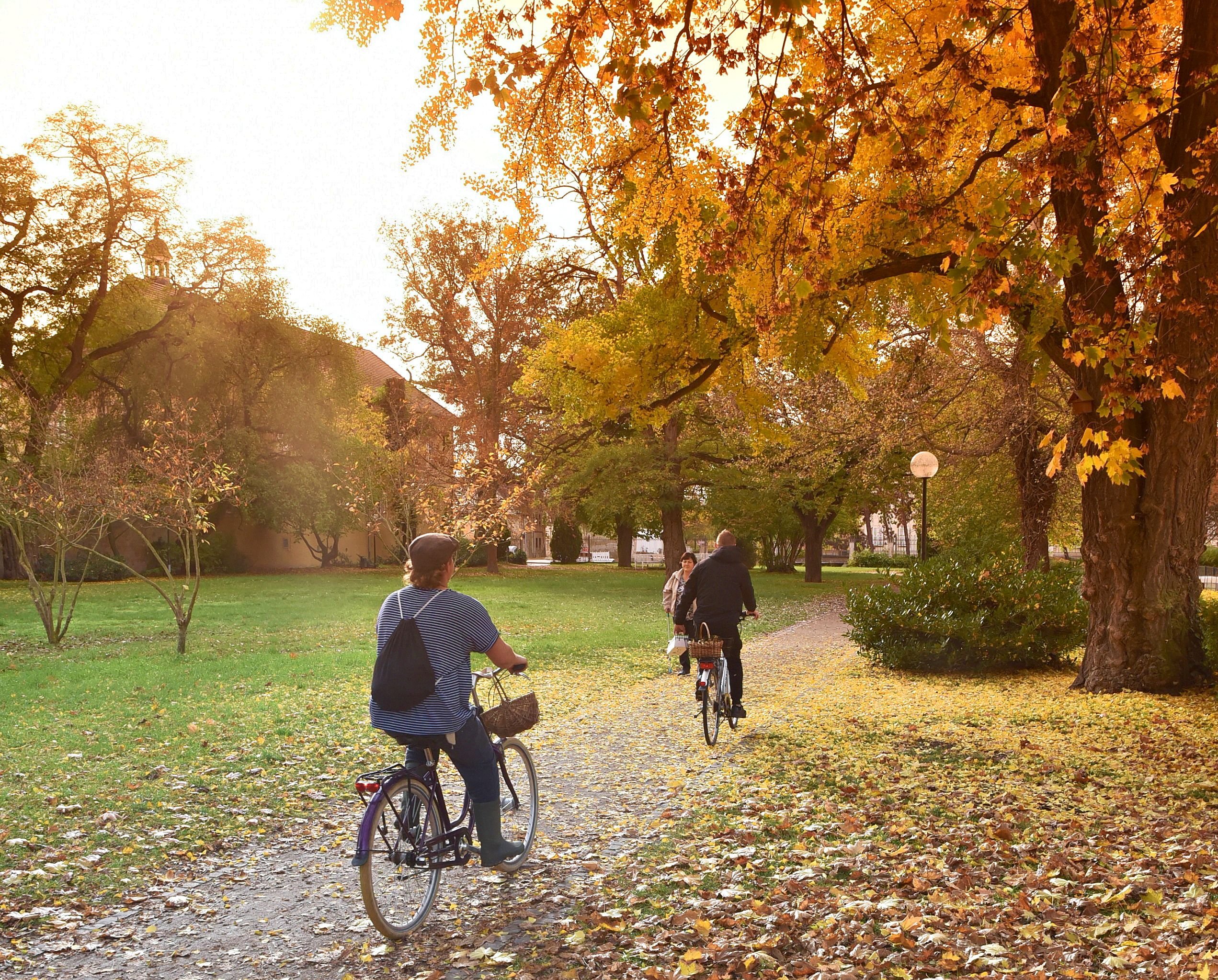Wetterüberblick: Rekordregen und mildes Klima. Das Wetter in Schönebeck und Salzlandkreis im Oktober