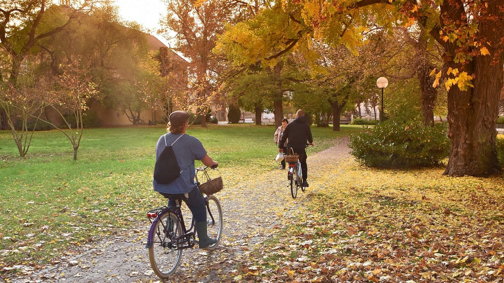 Malerische Herbstfarben im Barbyer Schlosspark. 