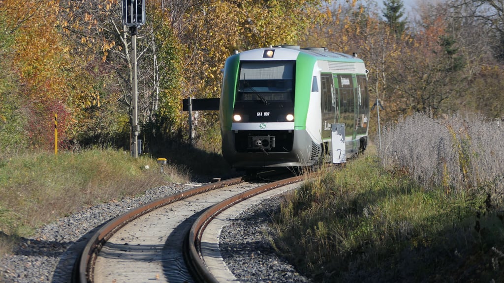 Die „Walfische", die auf der S11 zwischen Halle und Querfurt verkehren bereiten immer wieder technische Probleme. 