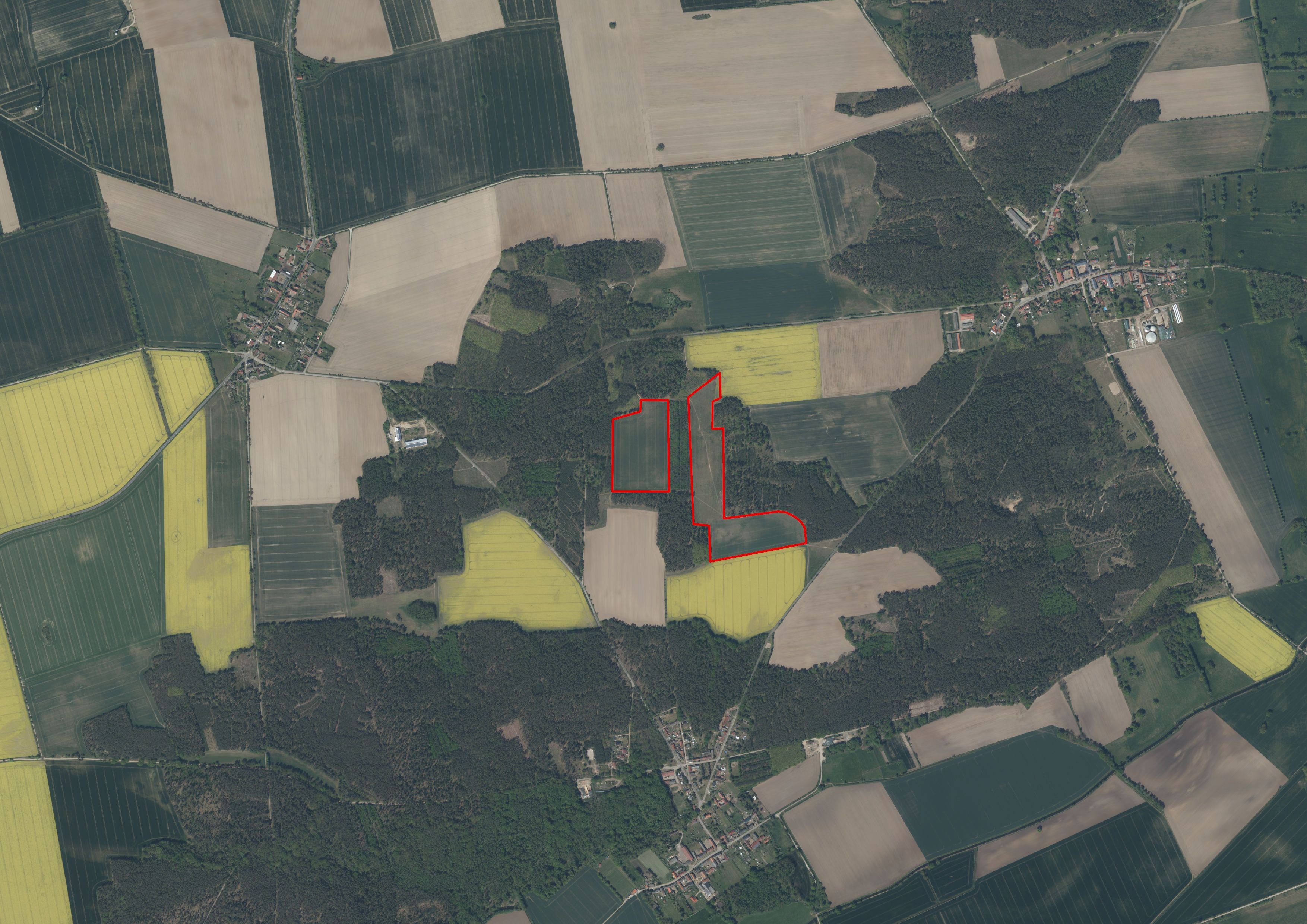 Was das Planungsbüro sagt: Solarpark am Dolchauer Berg und was aus dem Projekt geworden ist