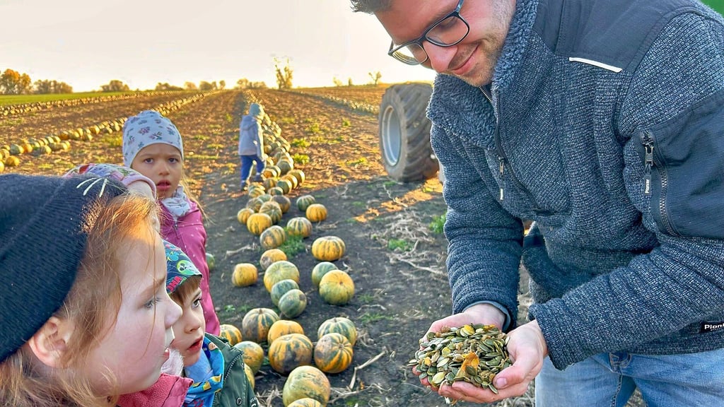 Diese Kürbiskerne möchte er ernten, zeigt Landwirt Johannes Reinhardt den Steppkes der Wünscher Kita „Zwergenland“.