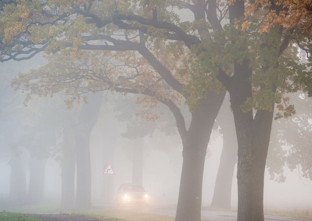 Das Wochenende in Berlin und Brandenburg ist nebelig. Laut Deutschem Wetterdienst kann es am Samstag zu Sichtweiten unter 150 Metern kommen. (Archivbild)