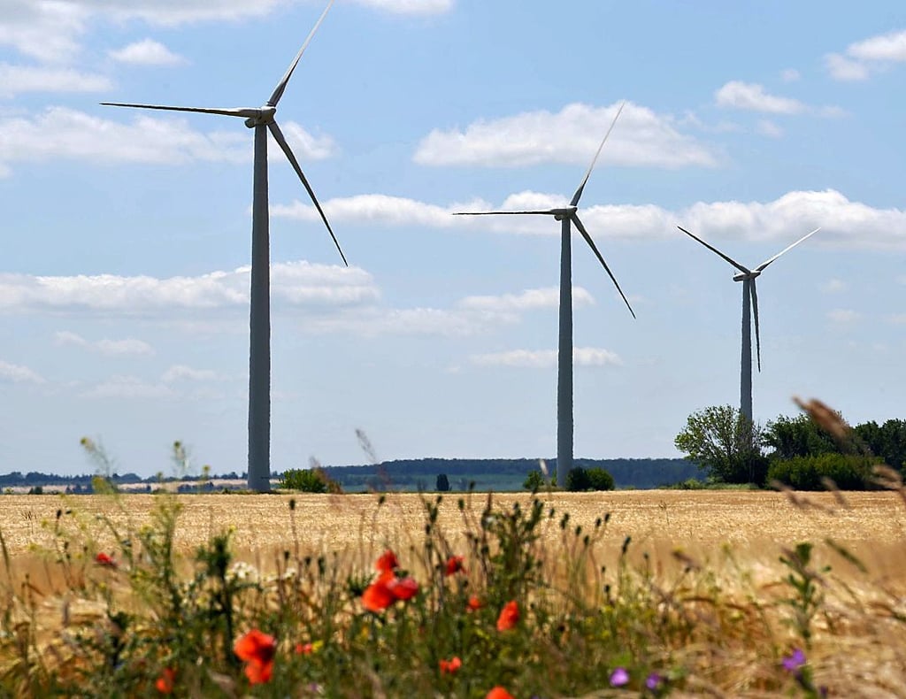 Blick auf den Windpark bei Trebbichau an der Fuhne