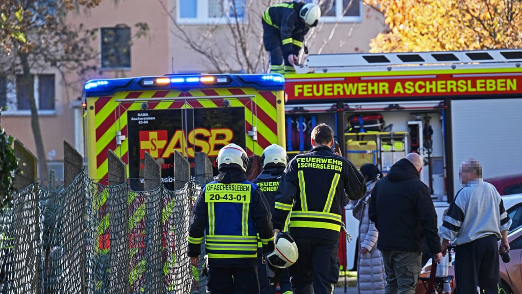 Durch den schnellen Einsatz von Feuerwehr und Rettungsdienst konnte eine Seniorin, die in Aschersleben in die Eine gestürzt war, zügig gerettet und erstversorgt werden. 