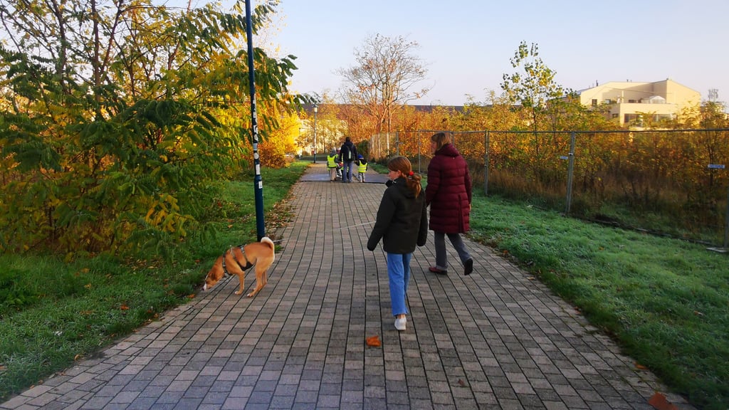 Die Brachfläche zwischen Klosterbergestraße und Budenbergstraße in Magdeburg-Buckau, im Volksmund "Aldi-Park" genannt, soll bebaut werden. 