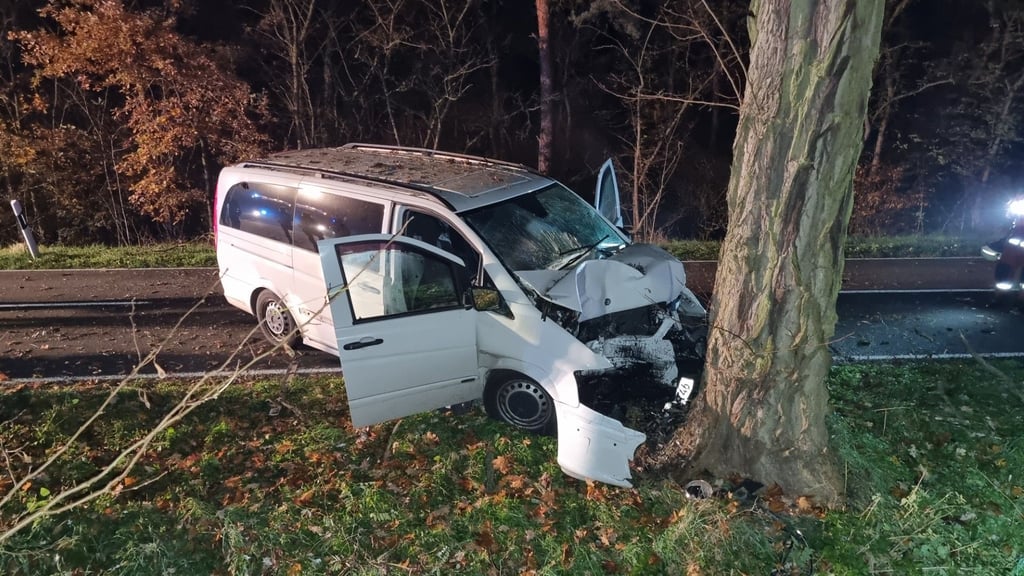 Der Transporter kollidierte bei Mühlstedt frontal mit einem Baum.