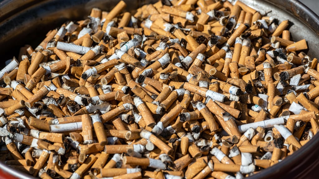 Müll und Zigarettenkippen, die am Bahnhof Quedlinburg herumliegen, Schmierereien und mehr sorgen immer wieder für Kritik. 