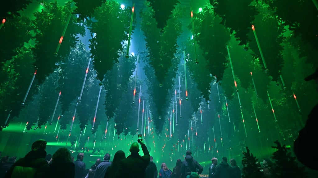 Auf 1.000 Quadratmetern gibt es über 600 schwebende Bäume und 250.000 Lichter.