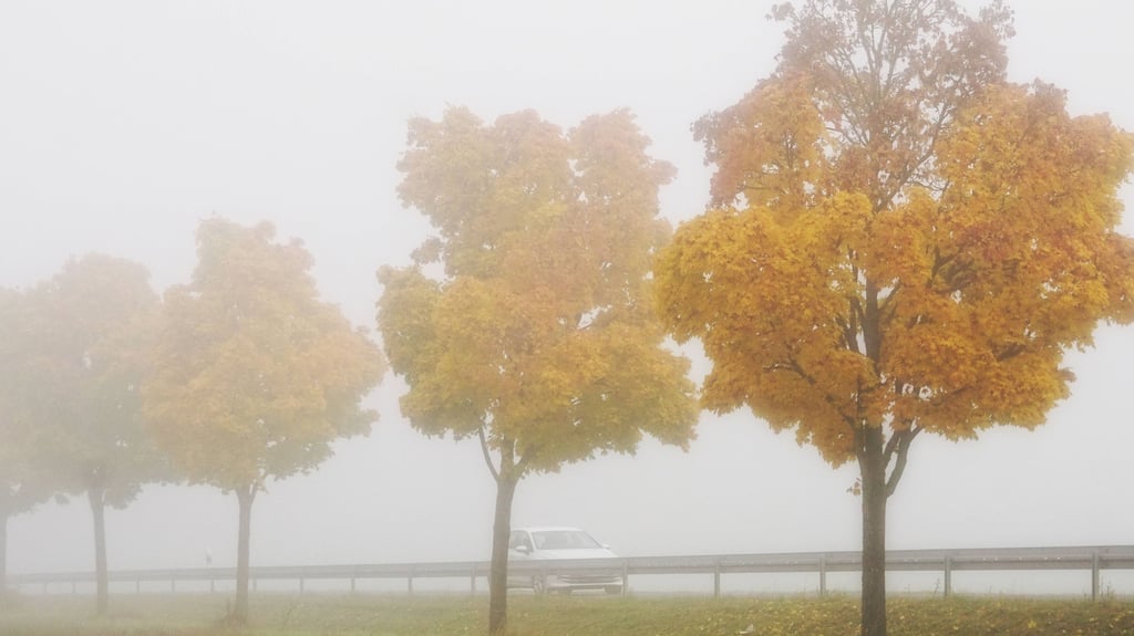 Am Wochenende bleibt das Wetter in Sachsen-Anhalt ruhig, aber ungemütlich.