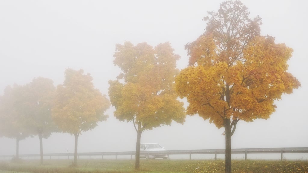 Am Wochenende bleibt das Wetter in Sachsen-Anhalt ruhig, aber ungemütlich.