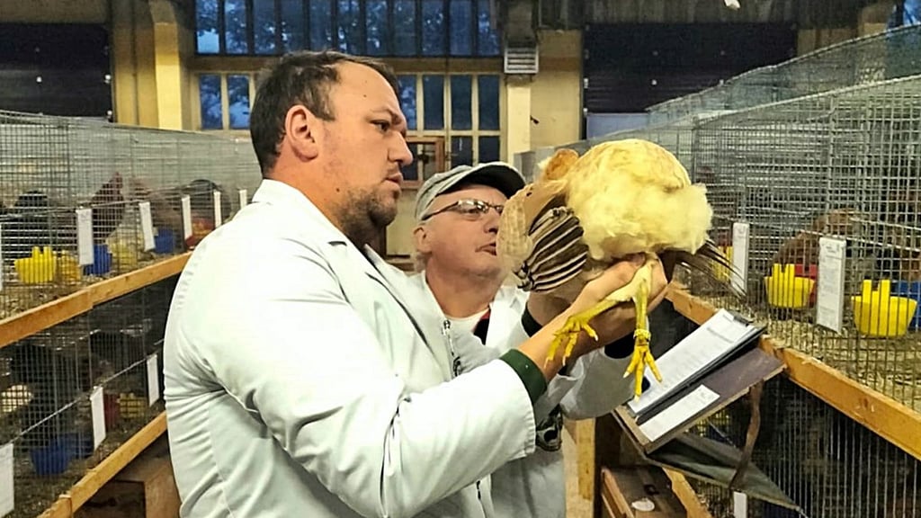 Der Geflügelverein Oranienbaum und Umgebung 1906 e.V., kann  2026 seinen 120. Geburtstag feiern.