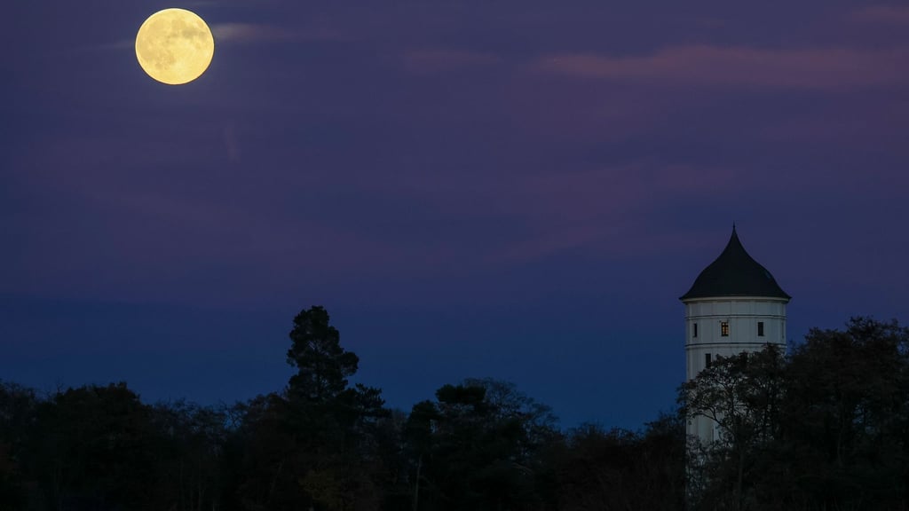 Sachsen erlebt ein ruhiges, teils trübes Herbstwochenende mit milden Temperaturen und lokal kräftigem Wind.