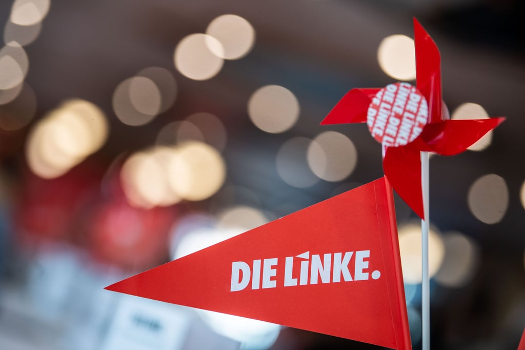 Die Parteispitze der Linken geht auf Distanz zum Parteinachwuchs. 