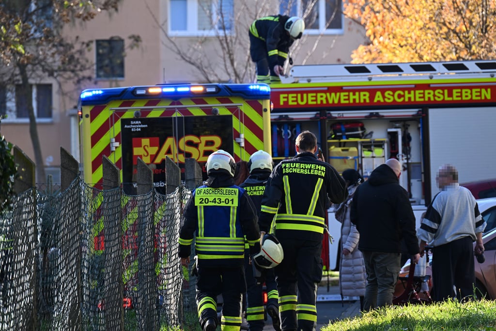 Durch den schnellen Einsatz von Feuerwehr und Rettungsdienst konnte eine Seniorin, die in Aschersleben in die Eine gestürzt war, zügig gerettet und erstversorgt werden. 