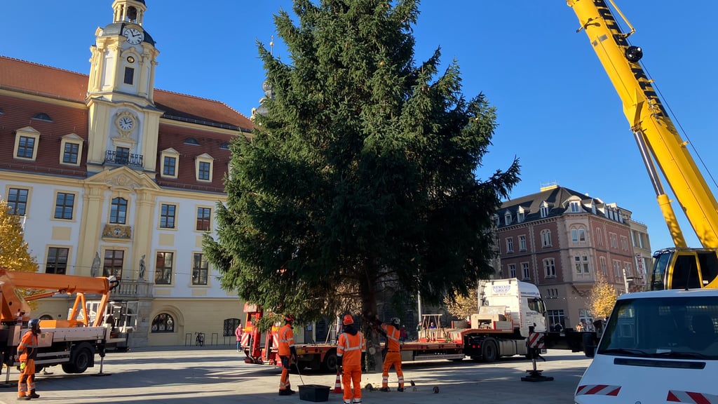 Der Weihnachtsbaum wurde am Freitag auf dem Markt aufgestellt.