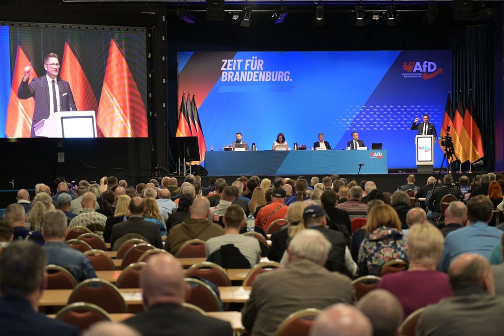Die Brandenburger AfD hat nach strittiger Debatte eine neue Satzung beschlossen.