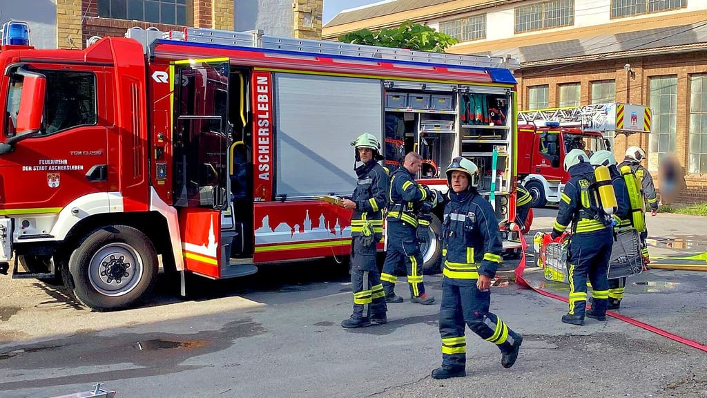 Die Kameraden der Feuerwehr Aschersleben bei einem mehrstündigen Einsatz auf einem Areal in der Dr.-Wilhelm-Feit-Straße.