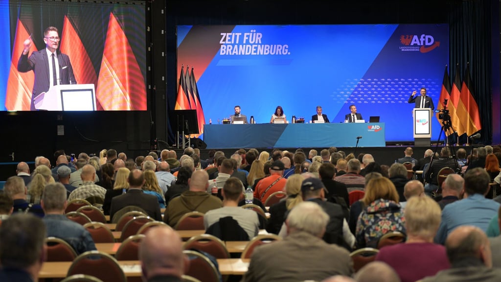 Die Brandenburger AfD hat nach strittiger Debatte eine neue Satzung beschlossen.