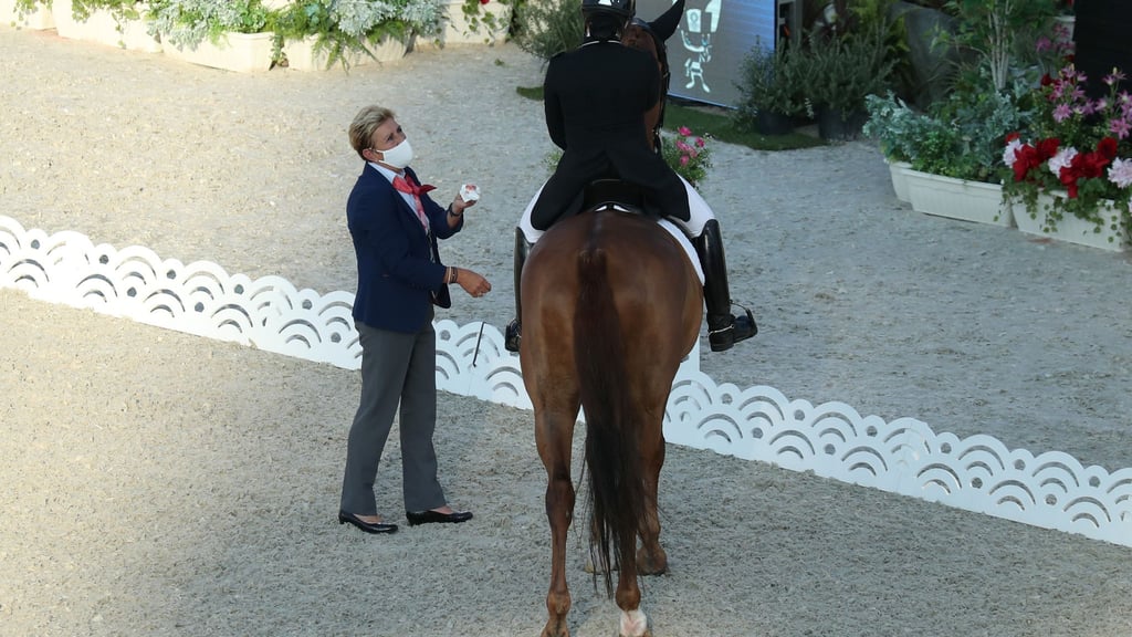Die „Blut-Regel“ im Reitsport wurde für Springpferde abgemildert. In der Dressur gilt weiter die bisherige und strengere Regel.