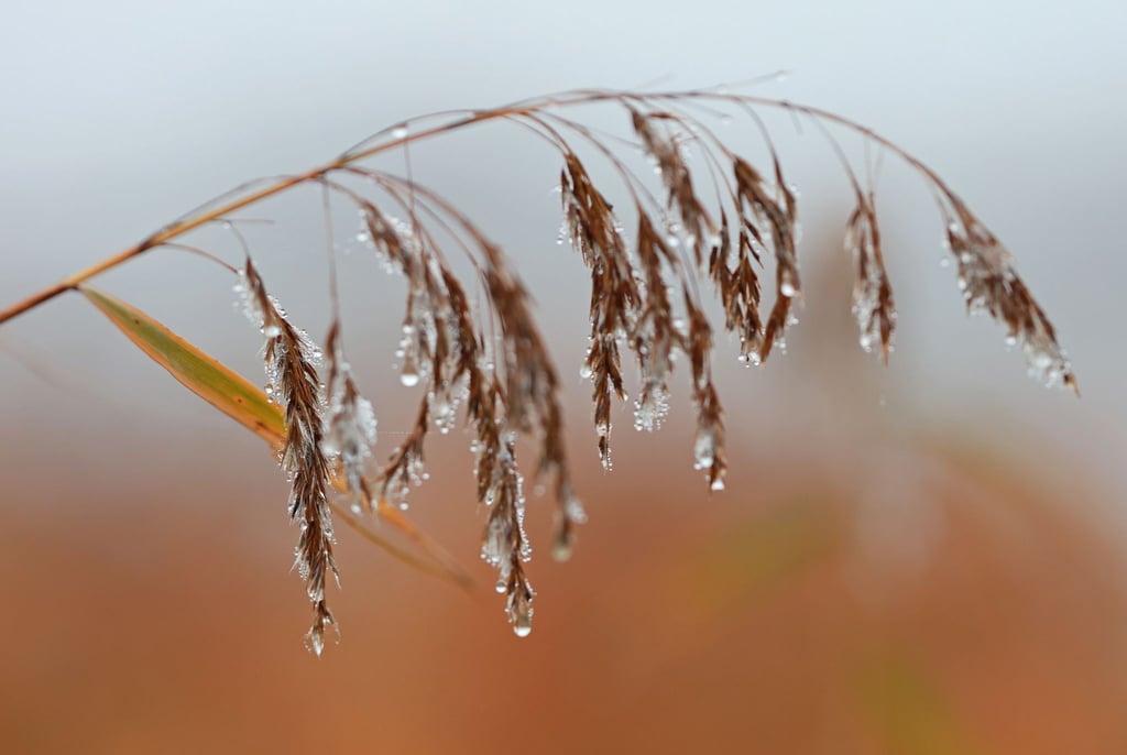 Am Montag und Dienstag ist es meist stark bewölkt, auch Nieselregen ist örtlich möglich, wie es hieß.
