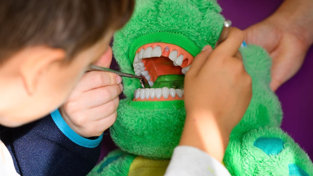 Fast zwei Drittel der Kleinkinder in Niedersachsen verpassen die Zahnvorsorge - in Bremen sind es noch mehr. (Symbolbild)