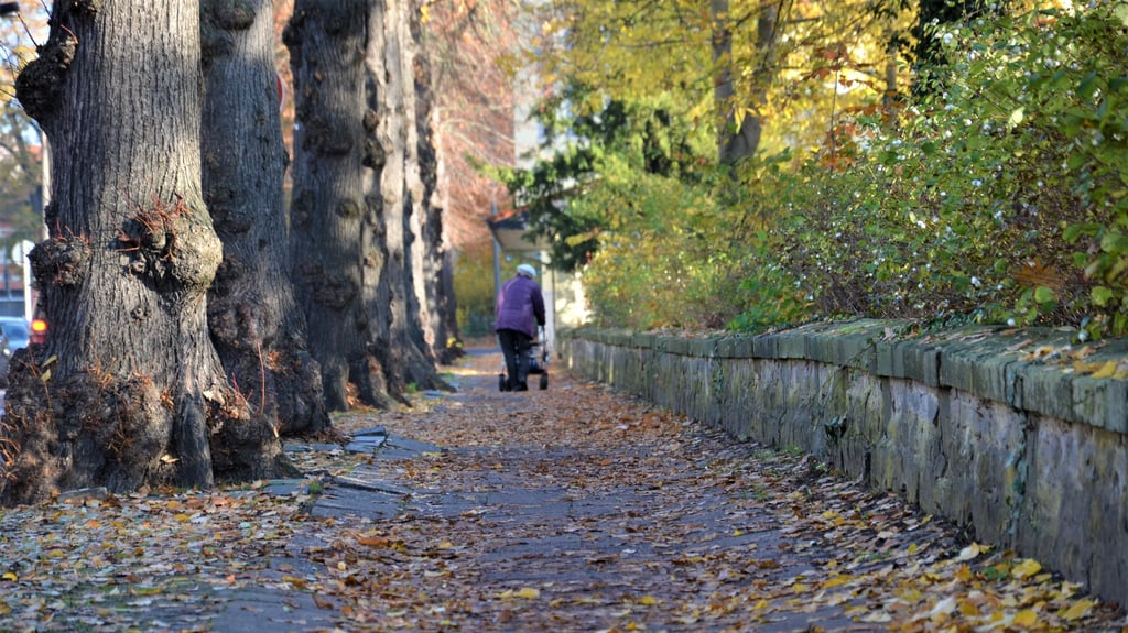 Der Gehweg in der Jeverschen Straße in Zerbst befindet sich in einem äußerst schlechten Zustand.  Seitens der Stadt ist schon länger eine Sanierung angedacht. Doch es gibt ein Problem.