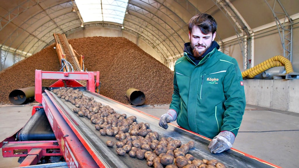 Beim Unternehmerstammtisch des Elb-Havel-Winkels in Garz ging es im  Agrobetrieb Köpke in eine der Hallen, in der die Kartoffeln sortiert und gelagert werden.