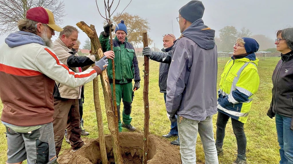 Gartenbau-Ingeneur Ralf Schönefeld (Mitte)  unterweist zu Beginn des Arbeitseinsatzes alle Helfer im fachgerechten Pflanzen von Obstbäumen. 
