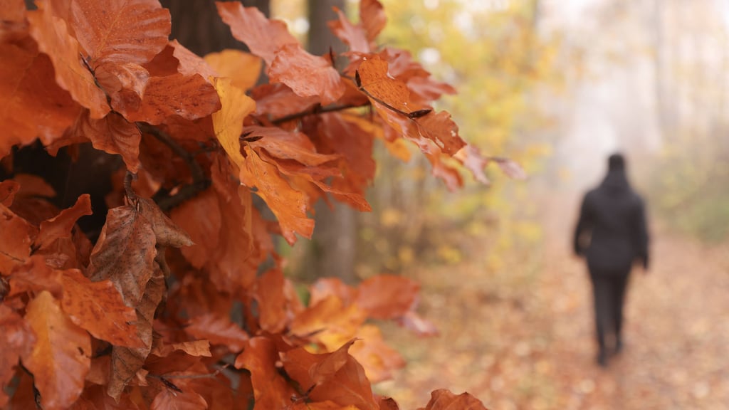 Herbst in Sachsen-Anhalt: Die neue Woche startet bewölkt.