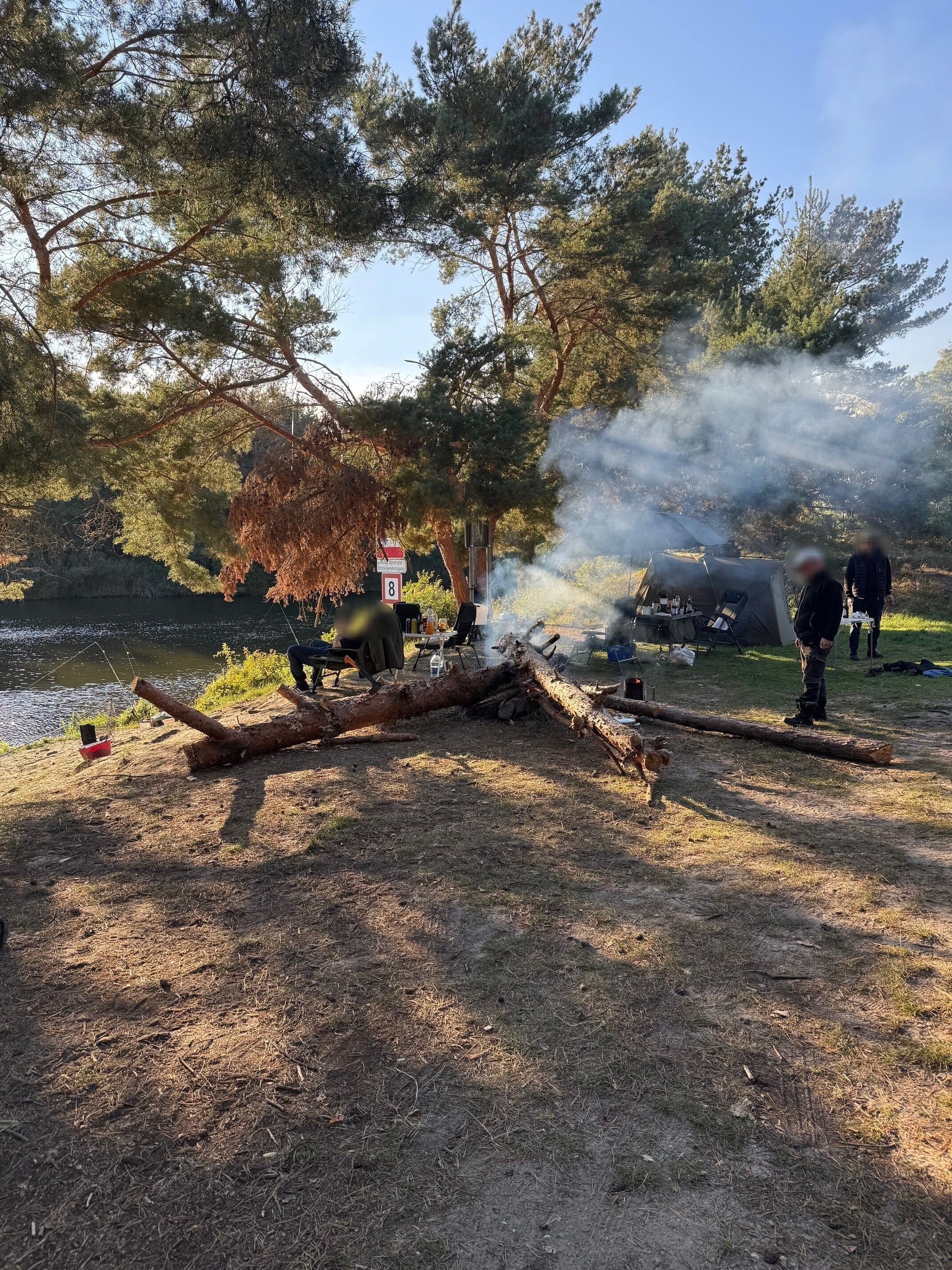 Trotz Verbote: Unglaublich: Angler verbrennen ganze Bäume am Niegripper See