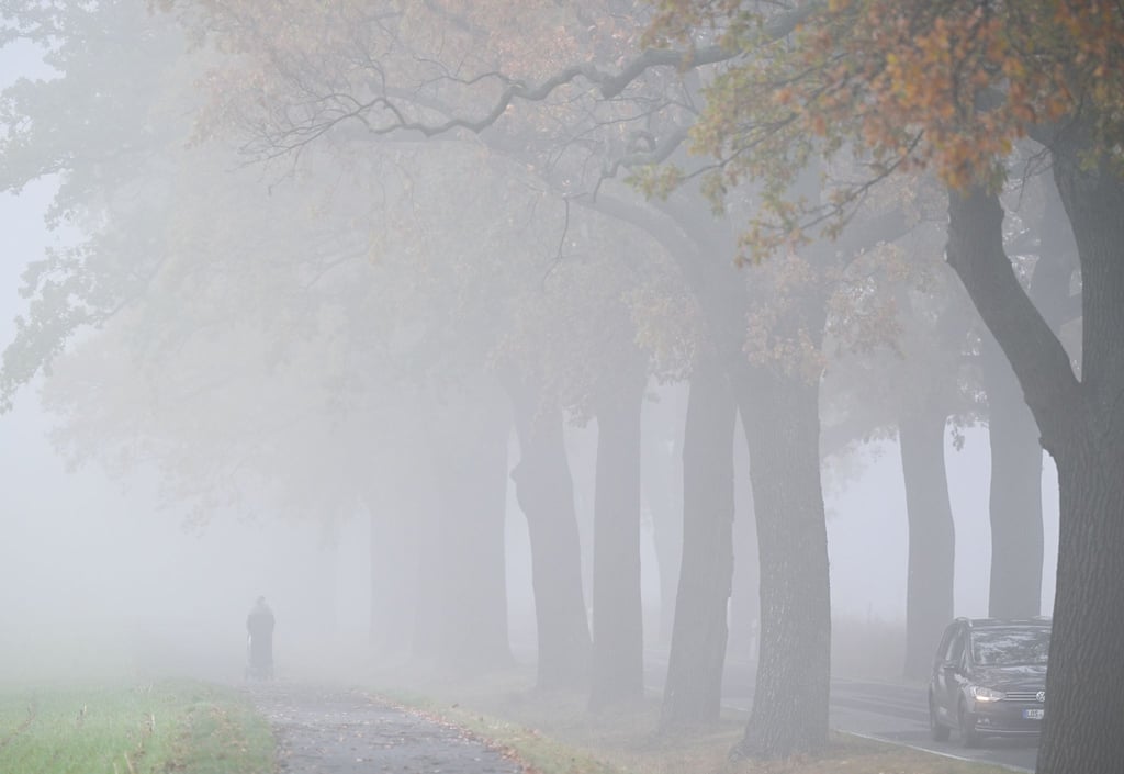 In Berlin und Brandenburg wird der Wochenstart grau und neblig-trüb. (Archivbild)