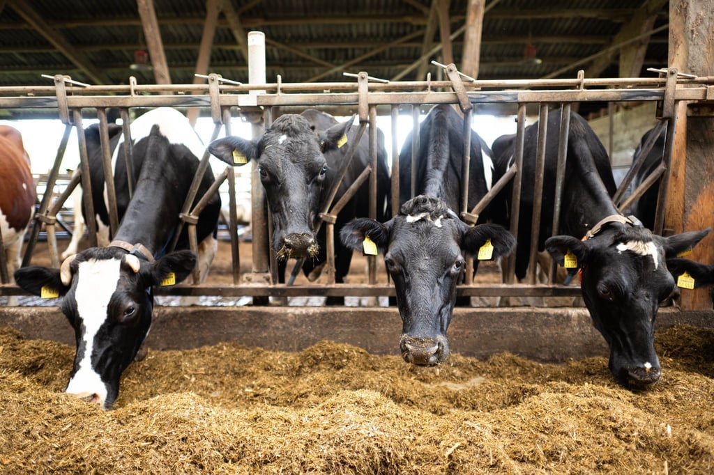 Schon im vergangenen Jahr waren nach Bauernprotesten in der EU Erleichterungen für Landwirte beschlossen worden. (Archivfoto)