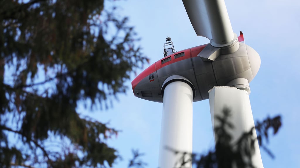 Windräder im Stadtwald Seehausen (Altmark)? Der Stadtrat steht vor dieser Grundsatzentscheidung.