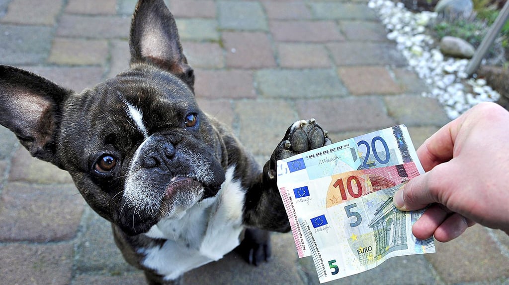 Spaß kostet – auch für Hundehalter.