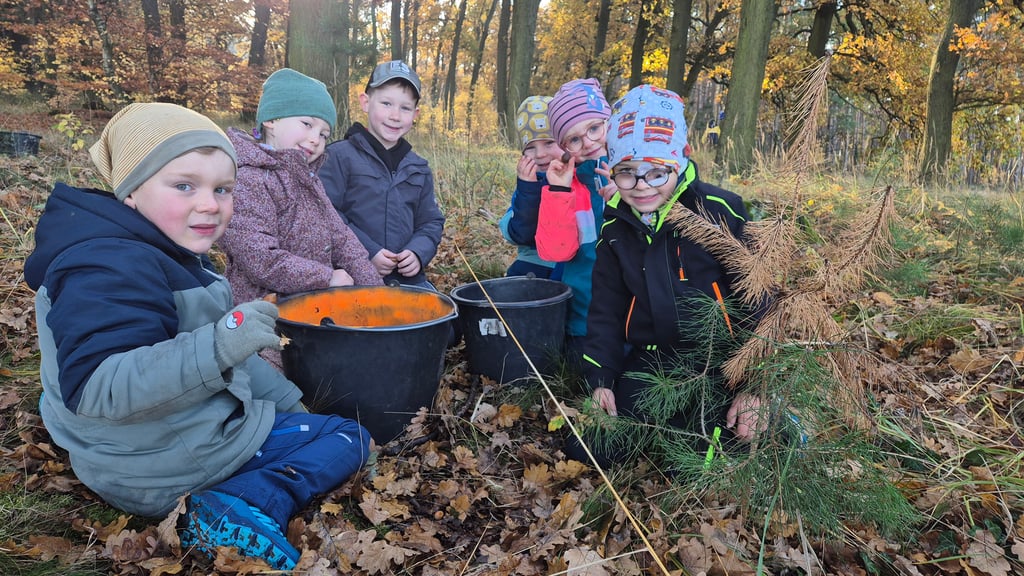 Die Kinder der Kita „Birkenwäldchen“ sammeln zusammen mit dem Forstamt Flechtingen Eicheln im Stadtwald.