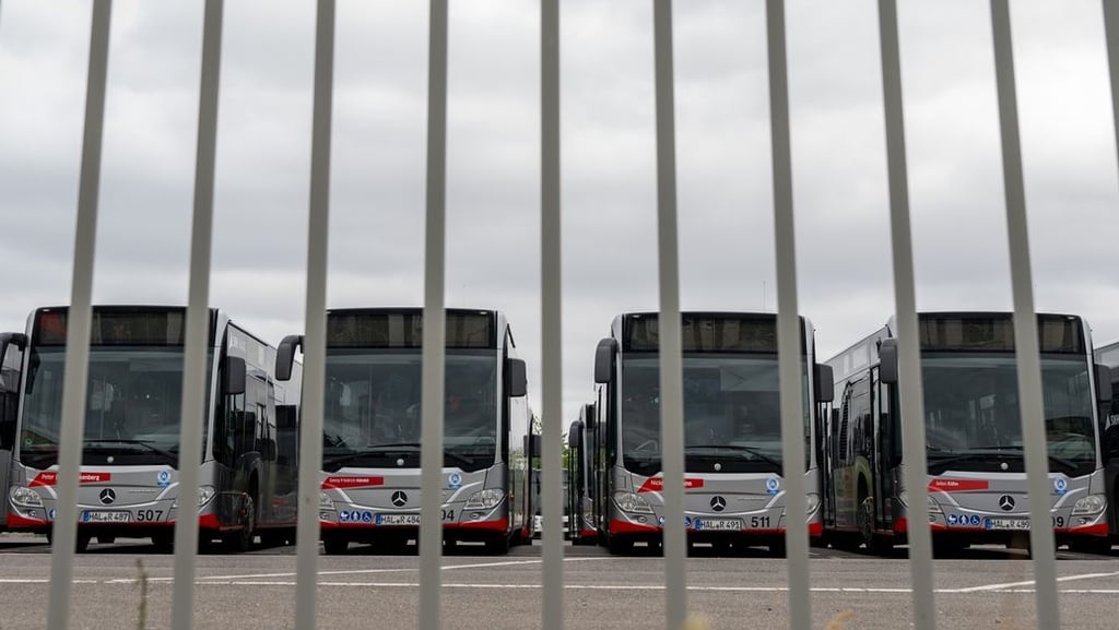 Zwei Buslinien der Havag nehmen ab der kommenden Woche andere Routen. Grund sind Tiefbauarbeiten in der Apoldaer Straße.