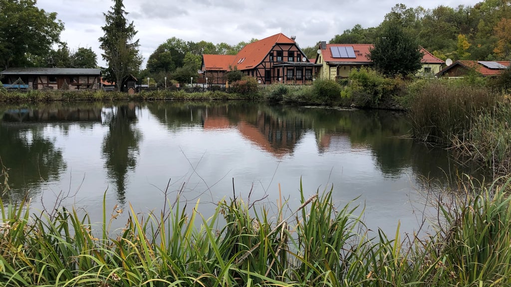 Blick über den Fischteich auf das Traditionshaus Bückemühle in Gernrode, das jetzt vor einem Neustart steht.