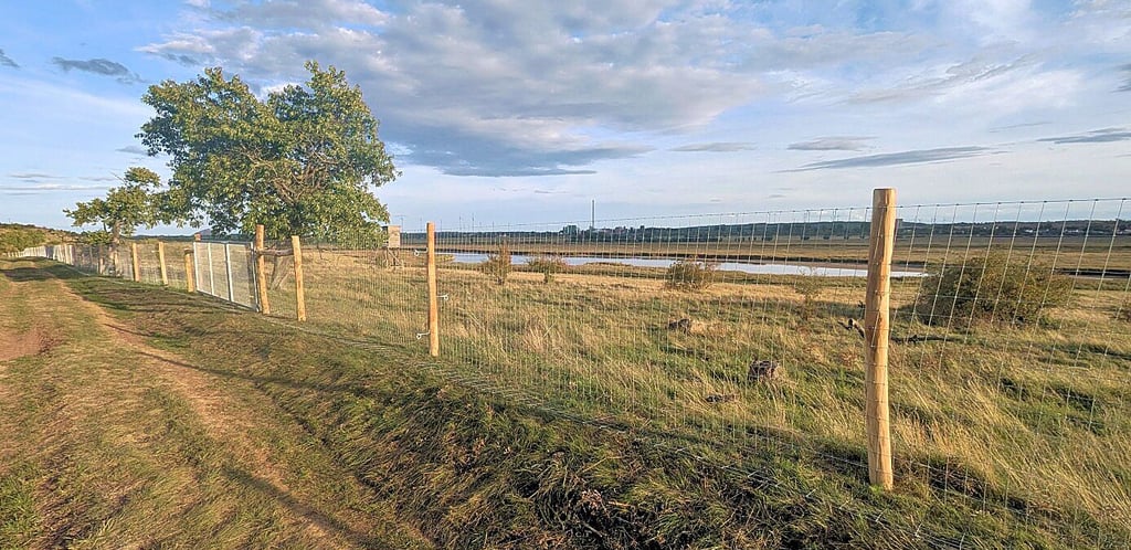 Acht Kilometer lang ist der Doppel-Zaun, der das Areal, in dem die Wasserbüffel weiden sollen, umschließt. 