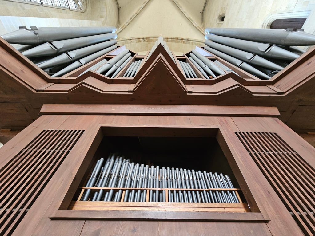 Paradiesorgel Chororgel Dom Magdeburg 