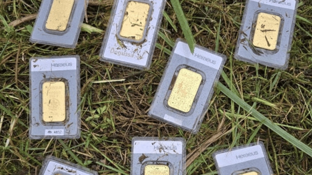 Beim Mähen wurden in Bannewitz (Sachsen) Goldbarren im Wert von 30.000 Euro entdeckt worden.
