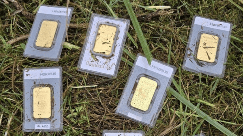 Beim Mähen wurden in Bannewitz (Sachsen) Goldbarren im Wert von 30.000 Euro entdeckt worden.