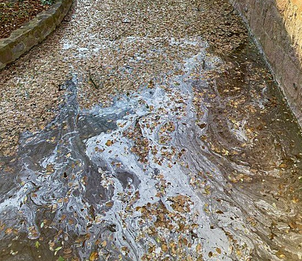 So sah der Bärteich in Köthen am Freitagnachmittag aus.